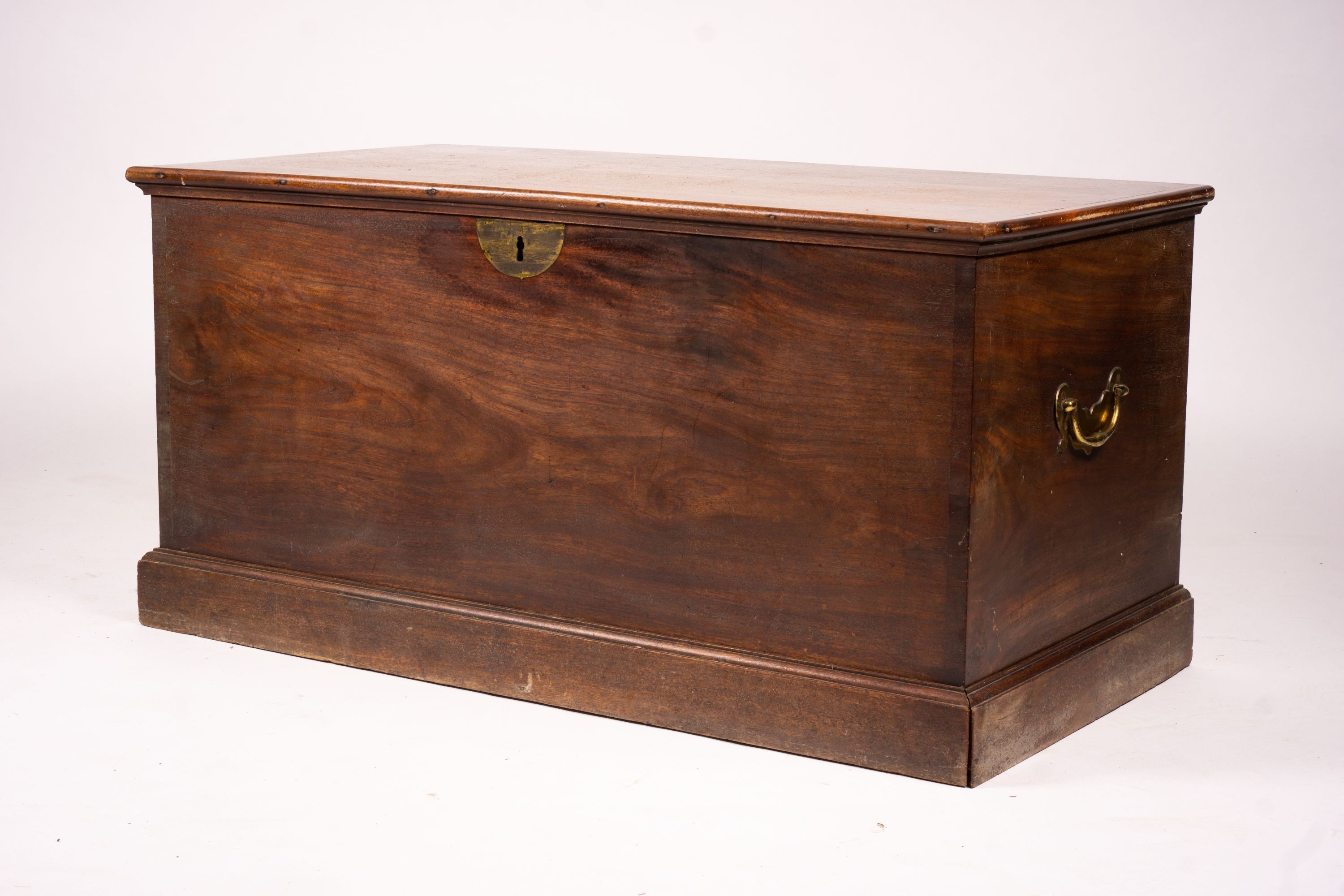 A large 19th century mahogany trunk with brass side handles, length 125cm, width 63cm, height 62cm